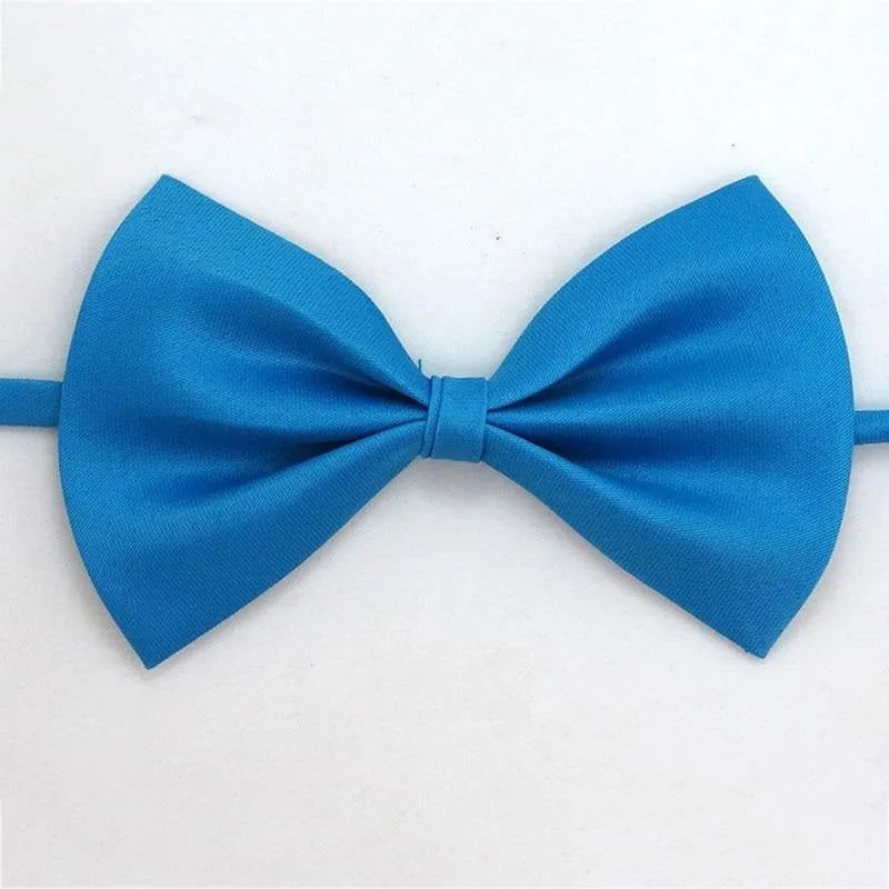 noeud papillon pour chat
