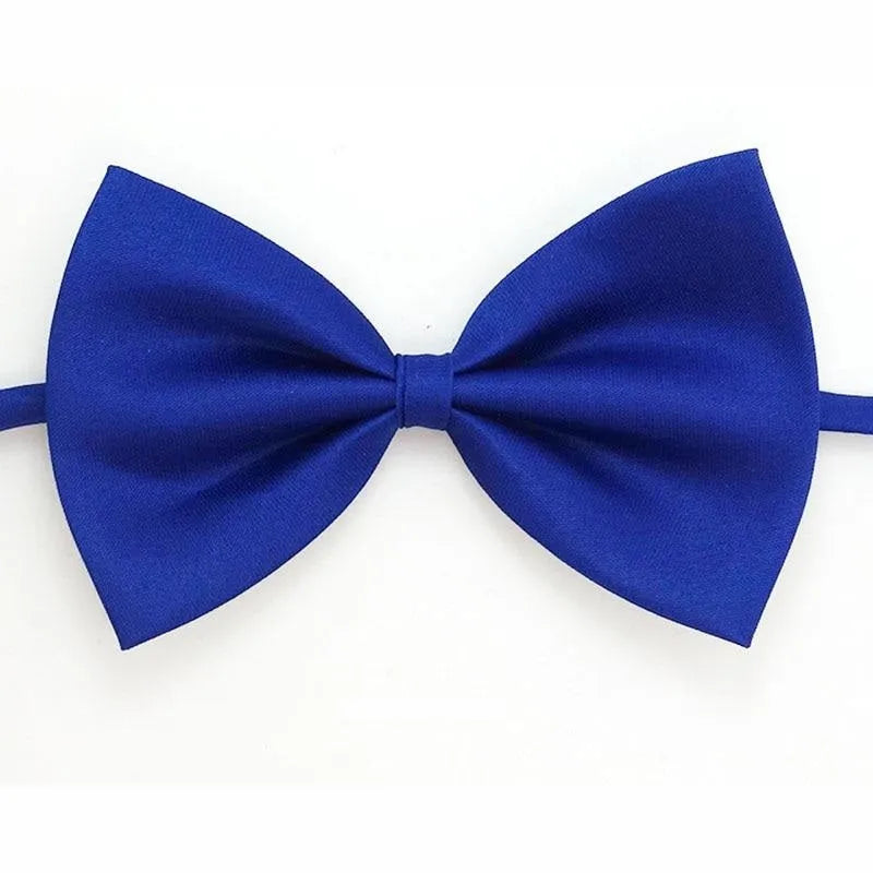 noeud papillon pour chat