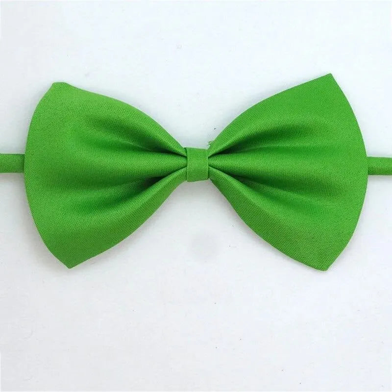 noeud papillon pour chat