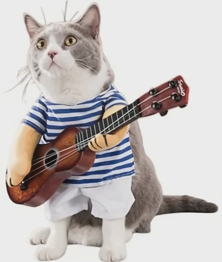 déguisement pour chat guitare