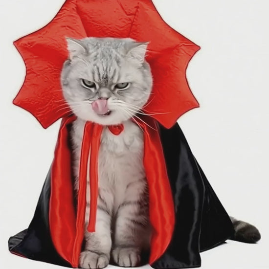 costume de chat vampire