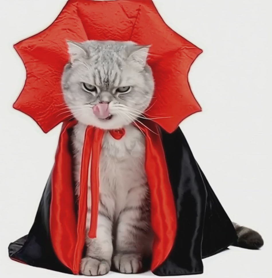 costume de chat vampire