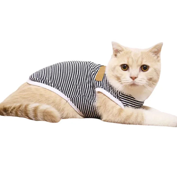 Katzenbody für den Sommer mit Sonnenschutz