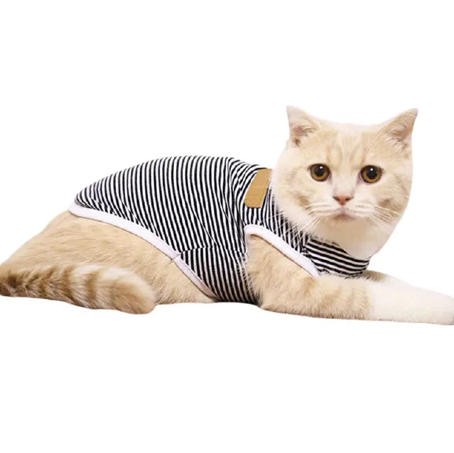 Katzenbody für den Sommer mit Sonnenschutz