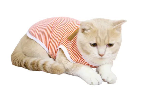 Camiseta naranja para gato, ropa | Chic et Chat