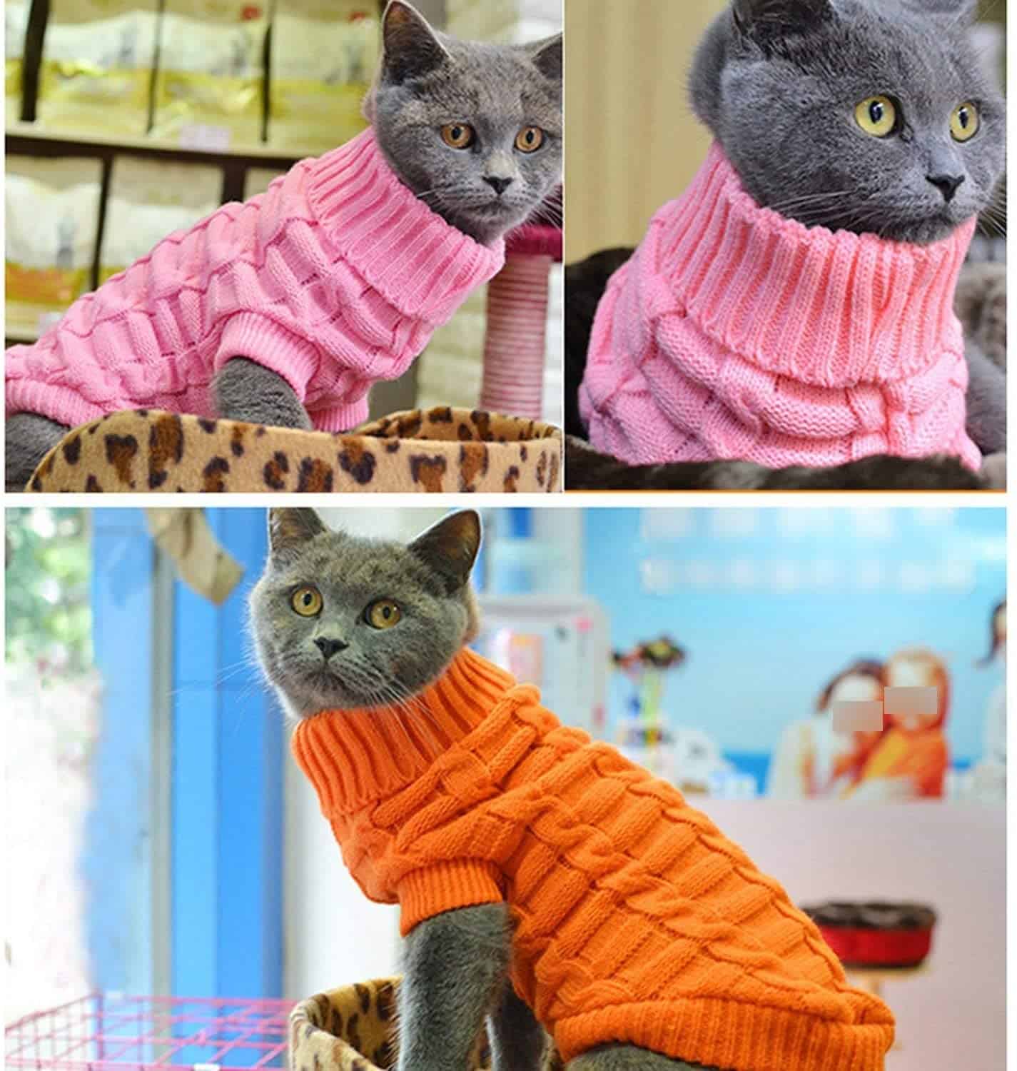 vêtement pour chat rose et orange