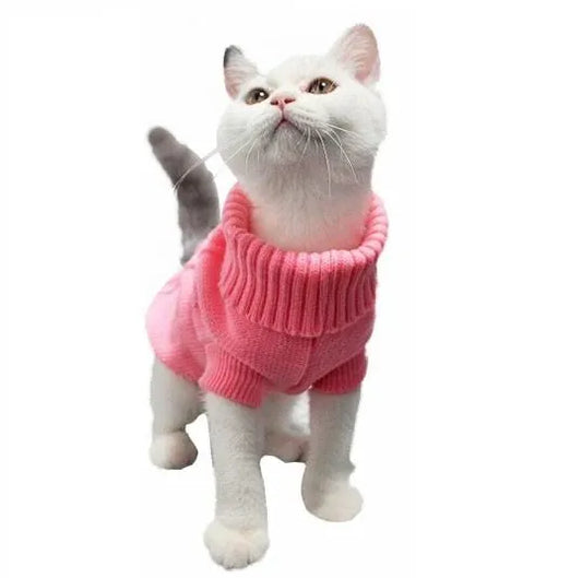 Pull douillet et confortable