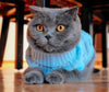 vêtement pour chat chic