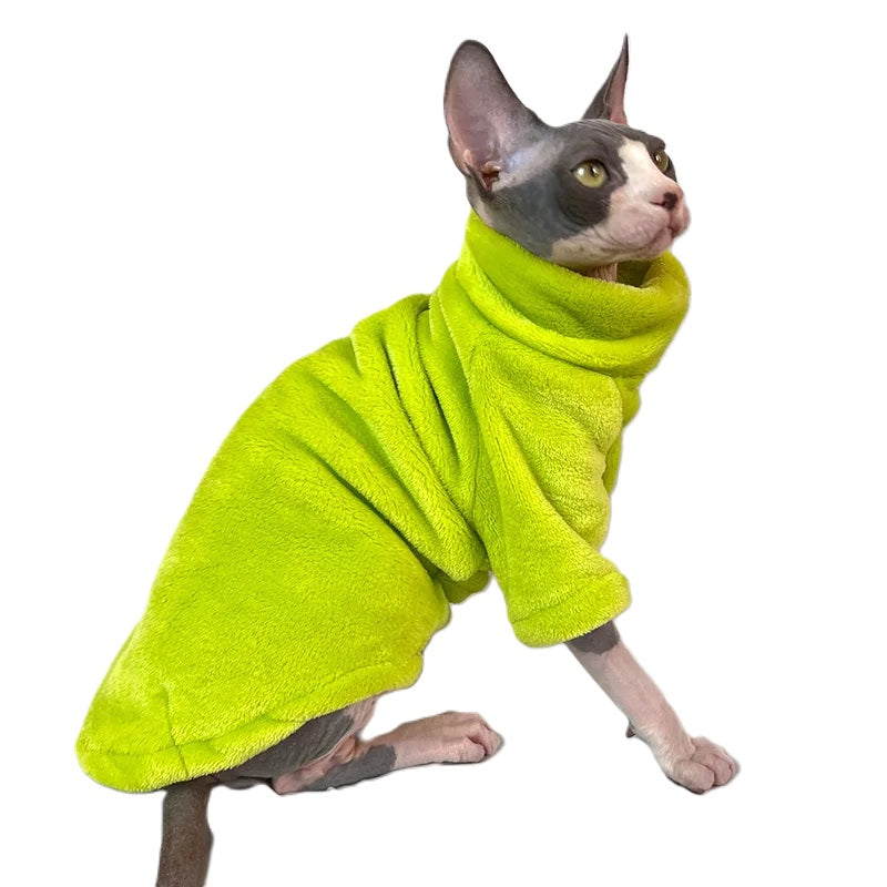 vêtement pour chat sphynx vert