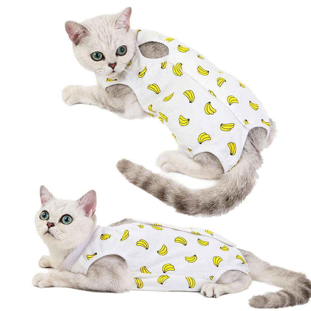 Body postoperatorio para gato - Fresa | Chic et Chat