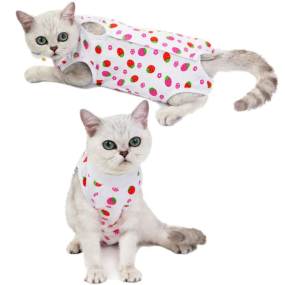 Body postoperatorio para gato - Fresa | Chic et Chat