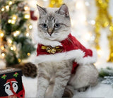 Vêtement de Noël pour chat