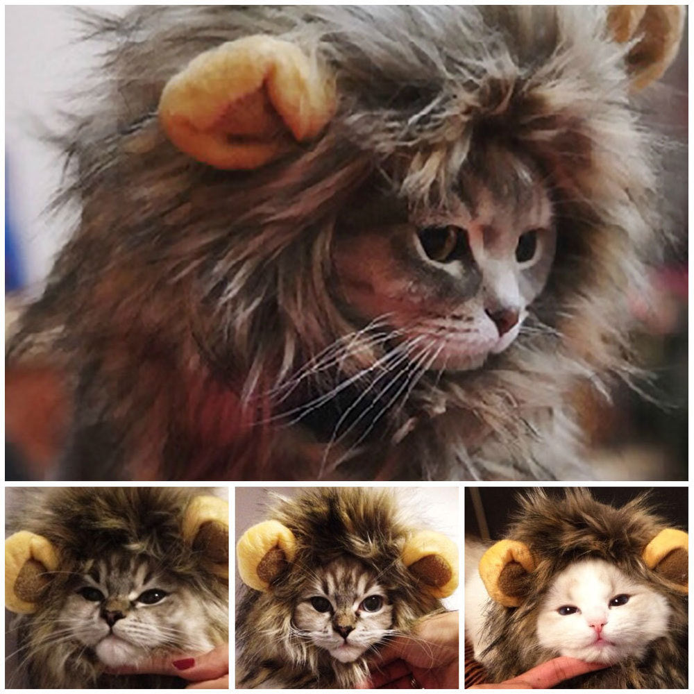 déguisement pour chat, costume de lion,