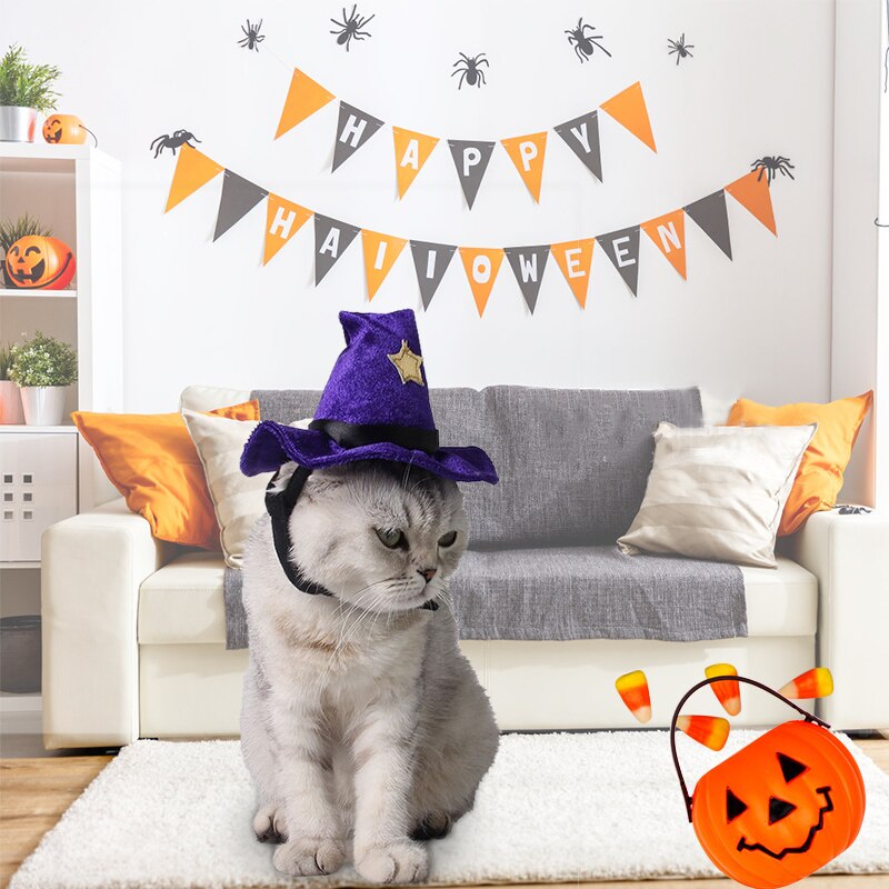 Chapeau sorcier pour chat happy Halloween