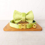 Collier personnalisé pour chat jaune or