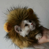 déguisement chat lion 4