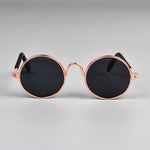 lunettes de soleil pour chats noires