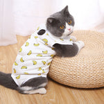 vêtement récupération pour chat banane