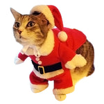 Costume pour chat de père noël