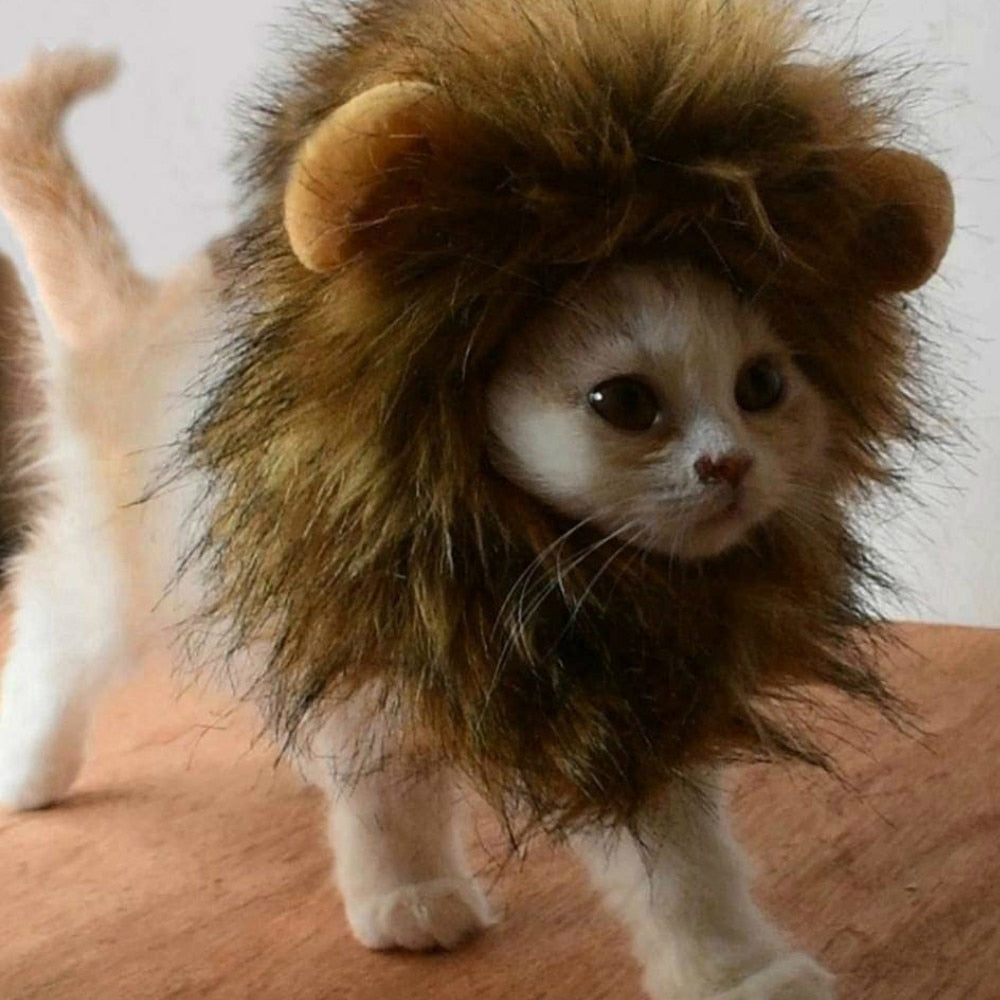 déguisement pour chat - crinière lion