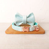 Collier personnalisé pour chat bleu ciel