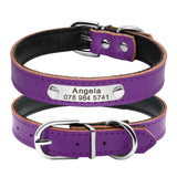 Collier personnalisé pour chat cuir bling bling violet