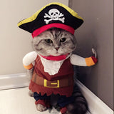 Déguisement pour chat pirate