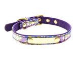 collier personnalisable chats et chiens violet