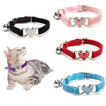 collier pour chat velours