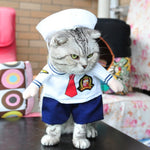 Costume de marin pour chat