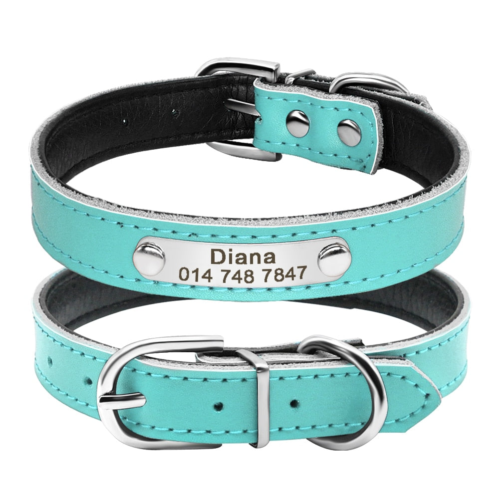 Collier personnalisé pour chat bling bling bleu turquoise