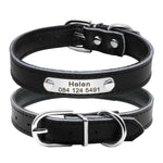 Collier personnalisé pour chat bling bling noir