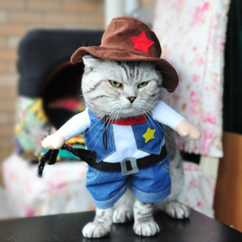 costume chat shérif