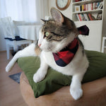 bandana carreaux rouge pour chats