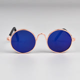 lunettes de soleil pour chats bleues