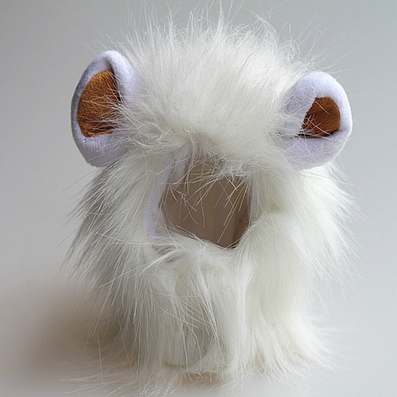 déguisement chat lion blanc