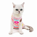 vêtement récupération pour chat multicolor