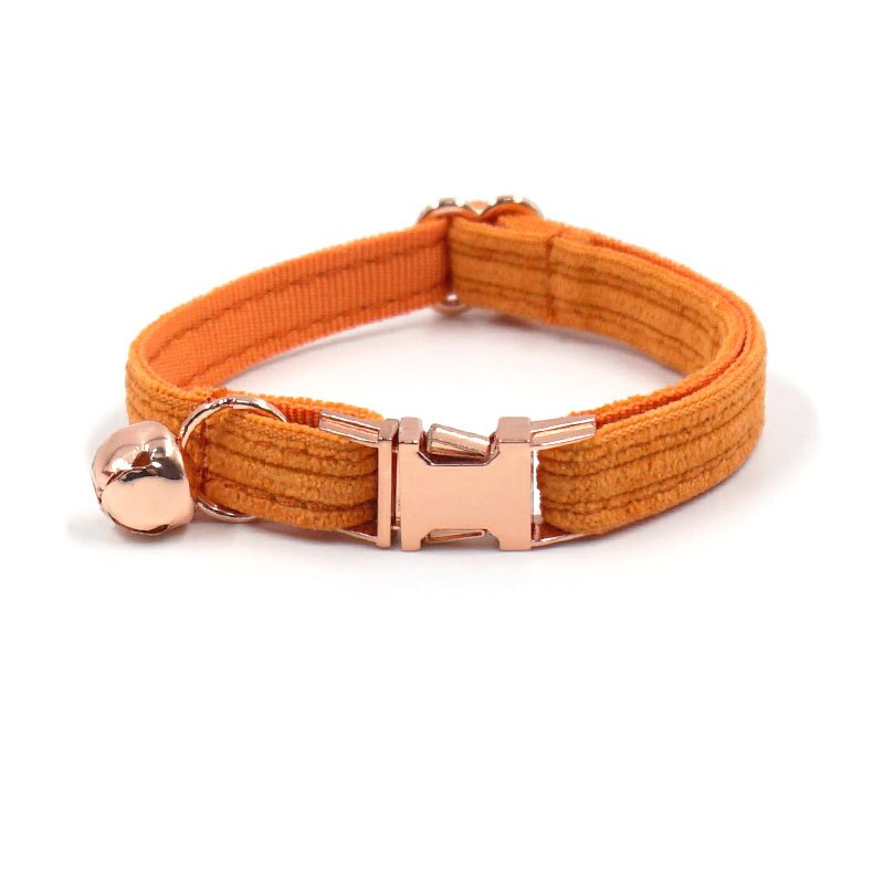 collier gravé pour chat orange