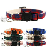 collier personnalisé pour chat