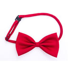 noeud papillon pour chats rouge