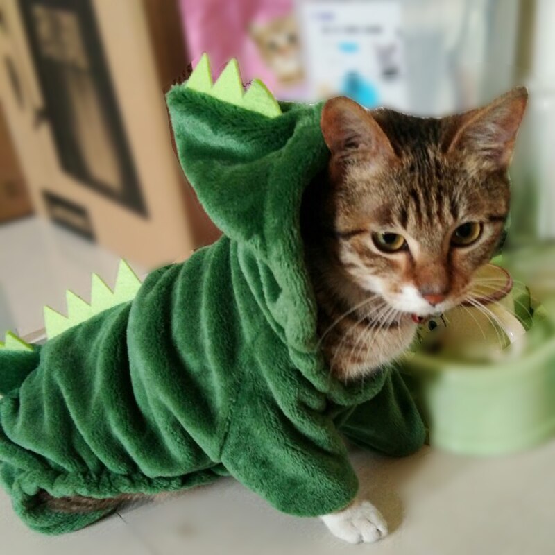 costume pour chat dinosaure