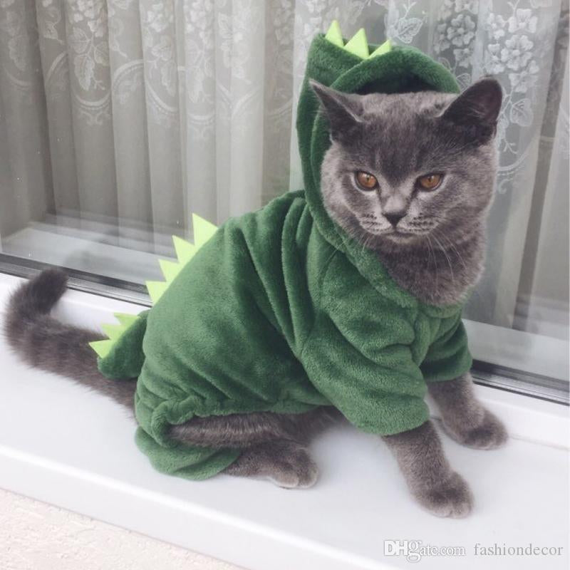 chat dinosaure rigolo déguisement costume