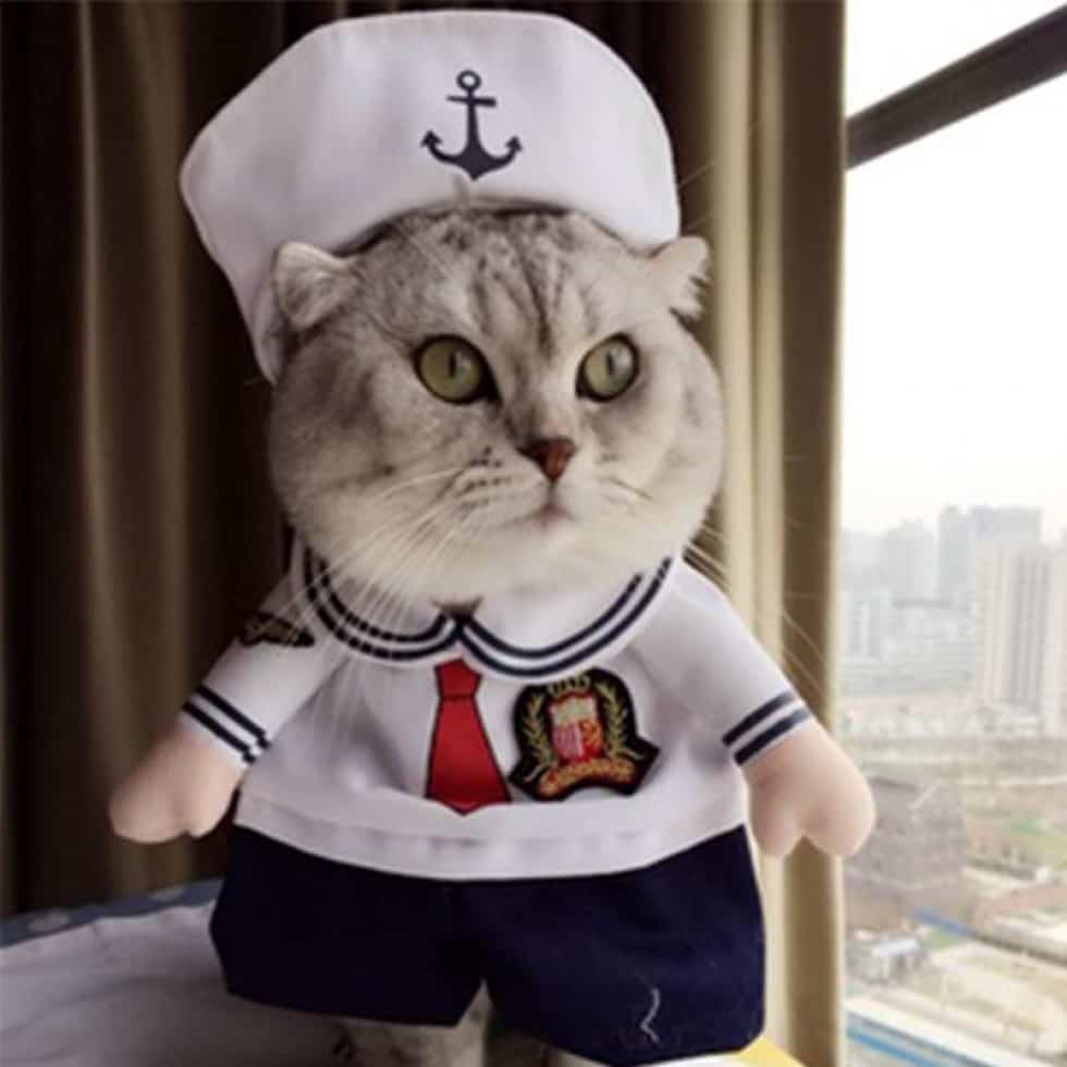 déguisement pour chat de marin fun