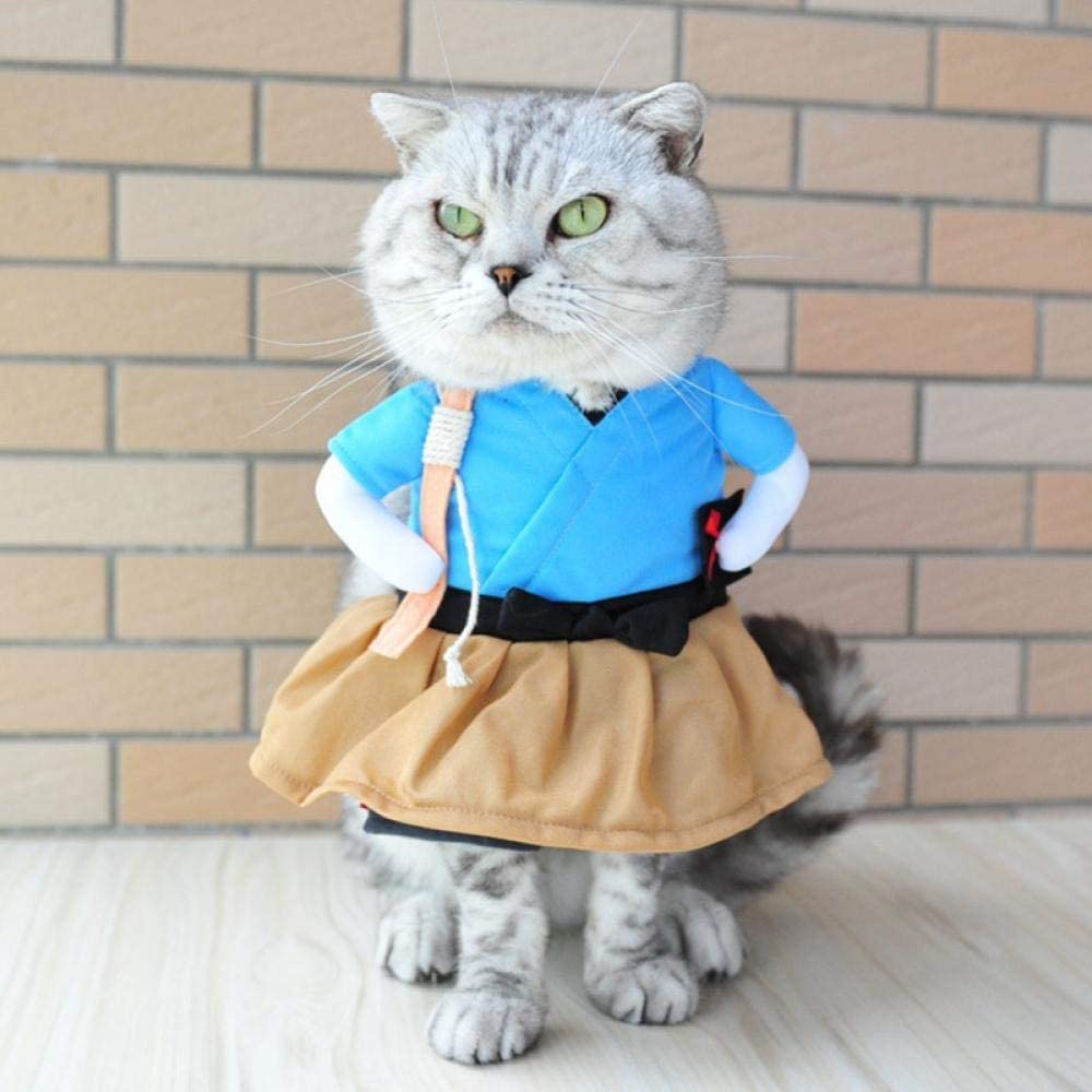 déguisement pour chat samouraï