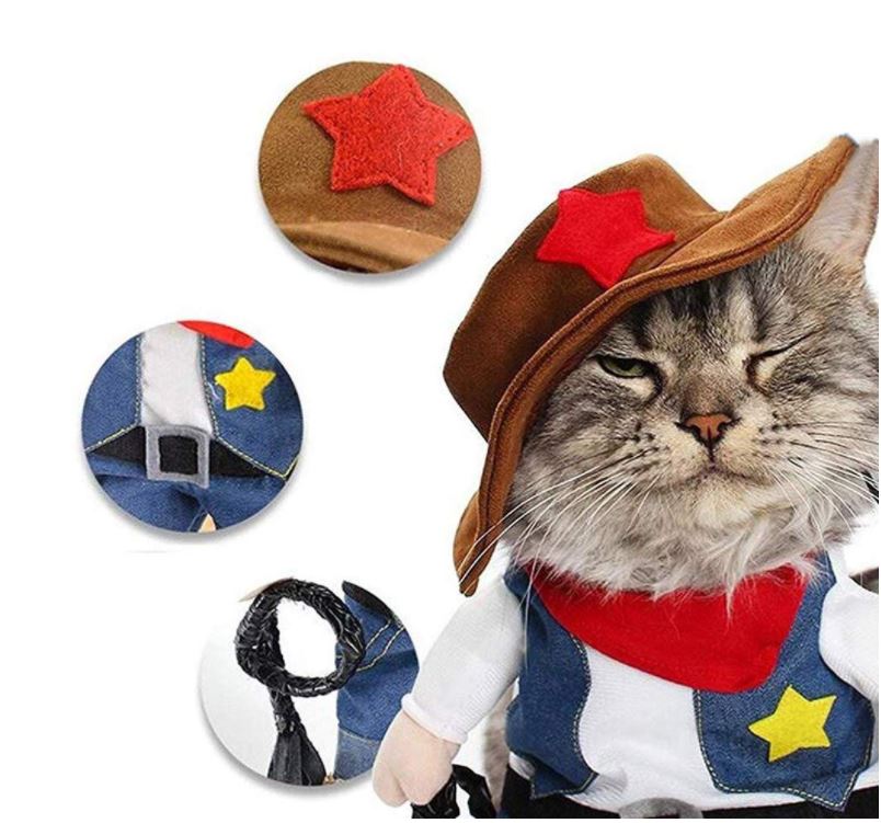déguisement chat shérif