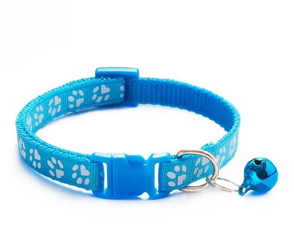 collier pour chat nylon bleu