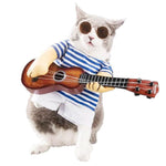 déguisement pour chat guitariste