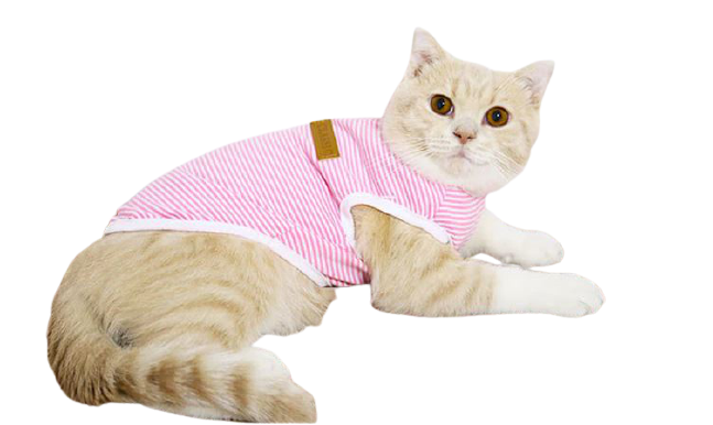 tee-shirt rose pour chat