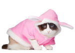 déguisement pour chat lapin